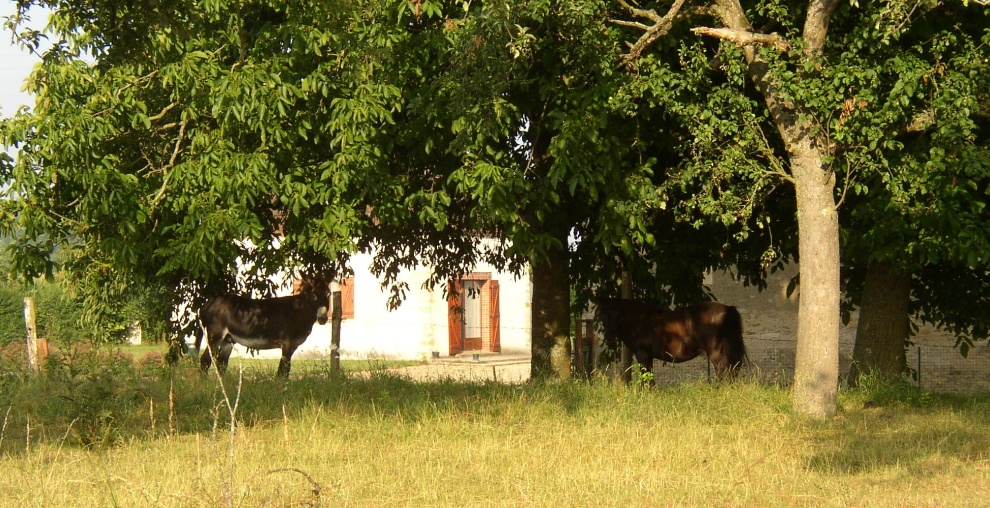 gite_fruit_043-46_pano